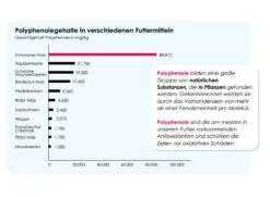 Versele Champion Plus IC+ Black Label, 20kg -Ausgewählte Zoohandlungen antioxidantien 113