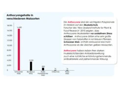 Versele Superstar Plus IC+ Black Label 20kg -Ausgewählte Zoohandlungen antioxidantien 214