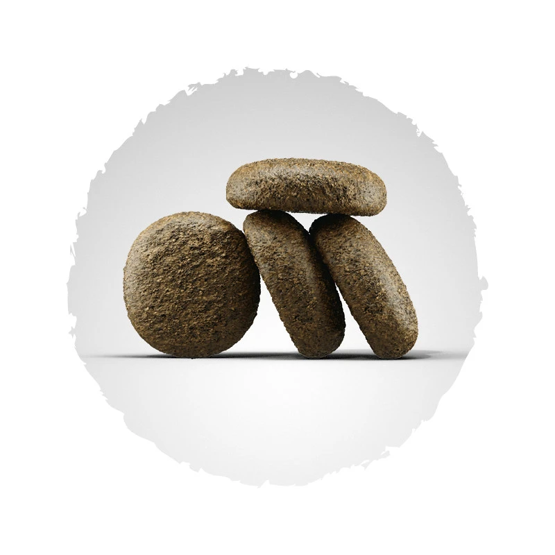 Josera Lachs&Kartoffel 2er-Pack 30kg 4 Josera Lachs&Kartoffel 2er-Pack 30kg – Bild 2