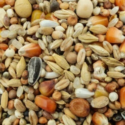 Matador Jungtauben H.O.T. 25kg