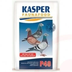Kasper Fauna P40 20kg -Ausgewählte Zoohandlungen p40