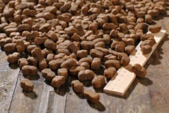 Bewi Dog Junior 12,5kg -Ausgewählte Zoohandlungen rs2899 junior kroketten lineal img 1767b klein