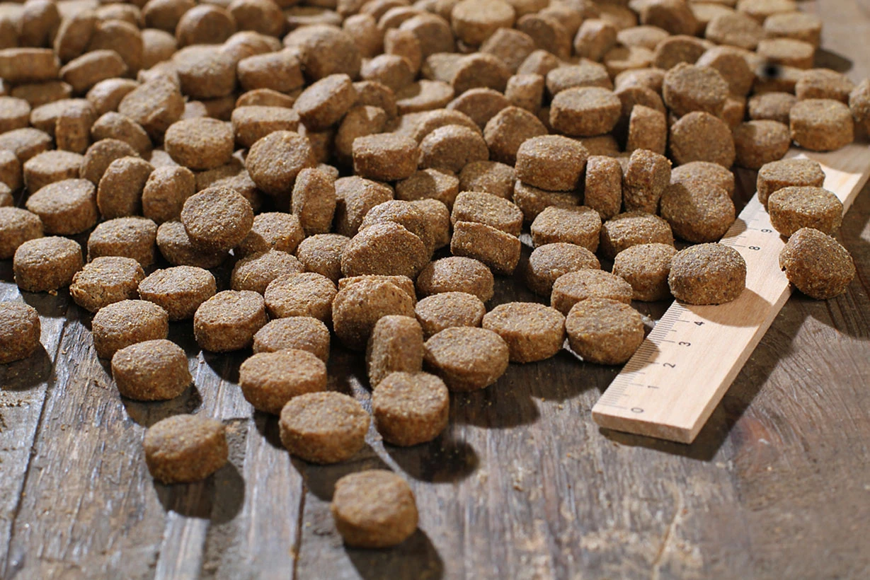 Bewi Dog Basic 25kg 5 Bewi Dog Basic 25kg – Bild 3