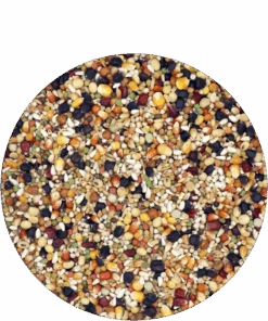 Versele Superstar Plus IC+ Black Label 20kg