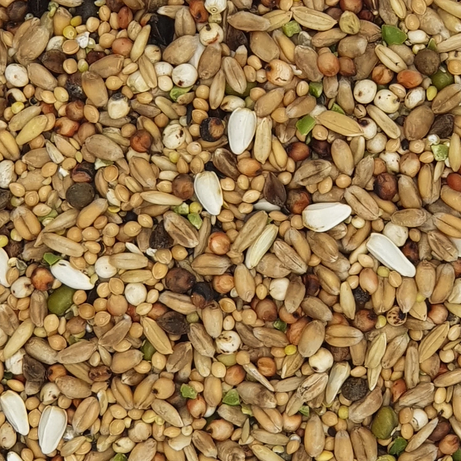 Versele Turteltaubenfutter Prestige 20kg 3 Versele Turteltaubenfutter Prestige 20kg